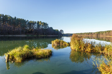 Fototapeta na wymiar panorama of magnificent landscape of wide lake in pinery forest