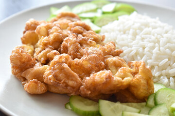 Thai omelette with rice and cucumber. Popular and traditional Thai food.