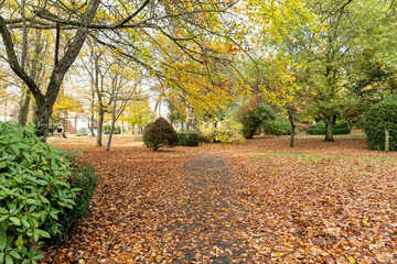 Naklejka premium autumn forest path