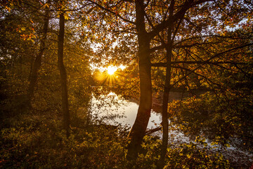 Sonnenuntergang im Herbst am Jägersburger Weiher-Saarland-Deutschland