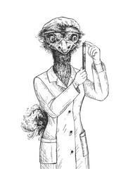 Ostrich scientist engraved portrait