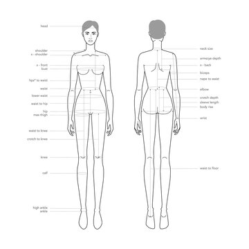 Women body parts terminology measurements Illustration for clothes and accessories production fashion lady size chart. 9 head girl for site and online shop. Human body infographic template