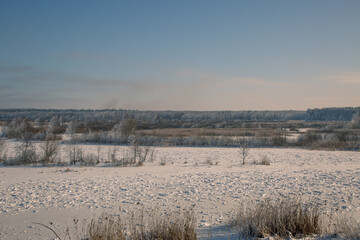landscape with snow covered trees