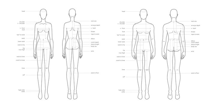 Body Measurement Images – Browse 175,994 Stock Photos, Vectors