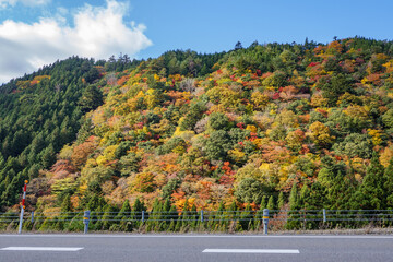 紅葉する山々に面する道路
