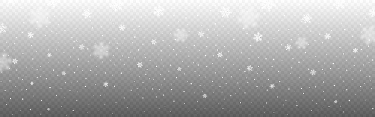 Snow wide texture isolated on transparent background. Realistic falling snowflakes. Winter template for banner. Christmas texture for advertising. Defocused flakes. Vector illustration