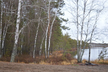 autumn forest sand Bank on the lake in the afternoon for a quiet rest