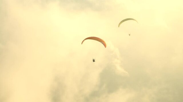 Silhouette of paraglider soaring over sea at evening sunset in sea background. Extreme sport paragliding