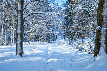 Waldweg in Winterlandschaft