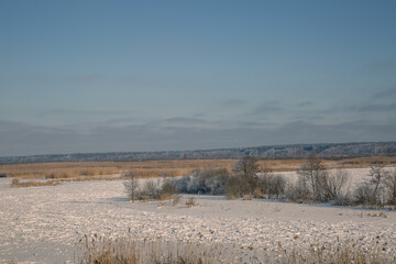 landscape with snow and trees