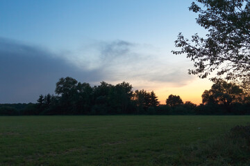 Obraz premium Sunset over the edge of a forest