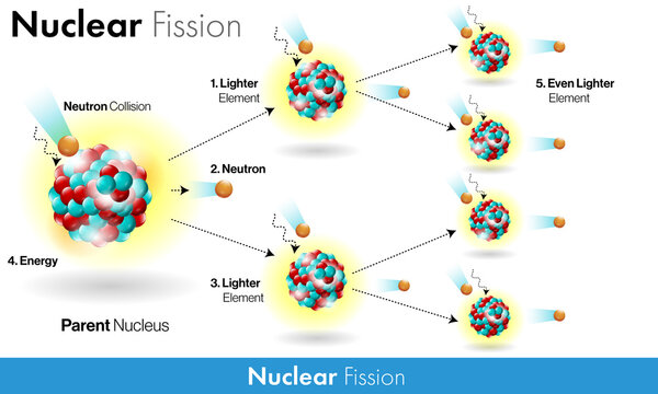 Mechanism of nuclear fission reaction in white background with release of energy 