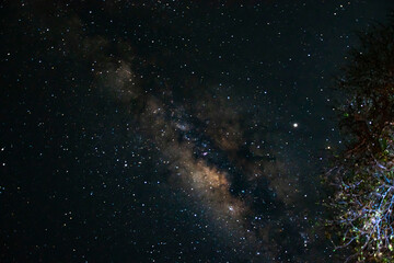 Fototapeta premium African Milky way