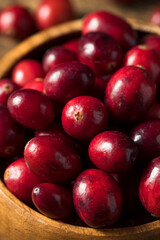 Raw Red Organic Cranberries