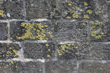 Natursteinmauer
