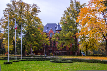 Autumn trees alley with colorful leaves in the park