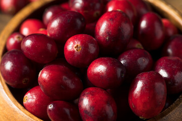 Raw Red Organic Cranberries