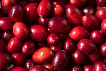 Raw Red Organic Cranberries