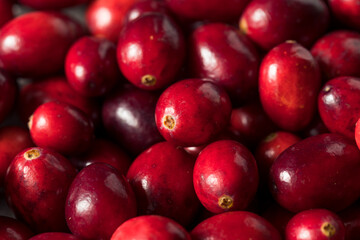 Raw Red Organic Cranberries