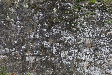Natursteinmauer