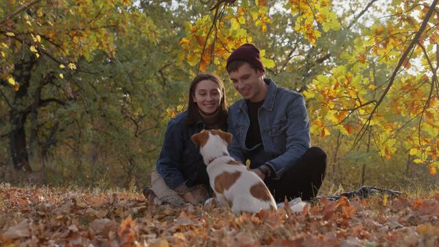 Romantic couple in love with jack russell terrier dog in nature, kissing and smiling