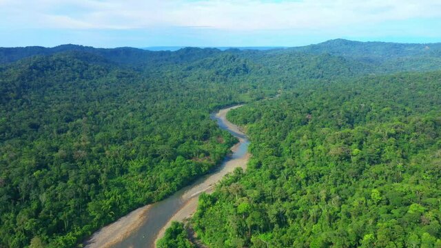 Aerial view following a river in a tropical forest in South America
