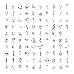 set of hundred vector flowers