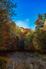 beautiful autumn landscapes in the Romanian mountains, Fantanele village area, Sibiu county, Cindrel mountains, Romania