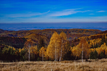 Fototapeta premium beautiful autumn landscapes in the Romanian mountains, Fantanele village area, Sibiu county, Cindrel mountains, Romania