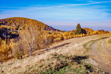 beautiful autumn landscapes in the Romanian mountains, Fantanele village area, Sibiu county, Cindrel mountains, Romania