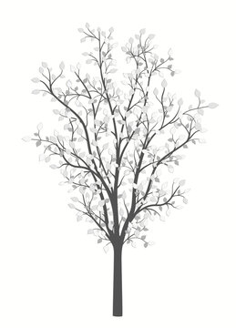 Drawing of a tree with leaves in vintage style on a white background