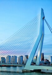 Fototapeta premium city skyline
