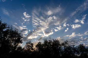 Beautiful Evening in Countryside