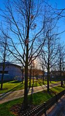 St. Petersburg, a walk in the park in the autumn on a sunny day along the alley, yellow leaves lie on the green grass, rays of the sun shine through the branches