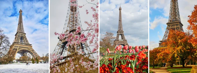 Deurstickers Collage of four photos of the Eiffel tower during different seasons © Ekaterina Pokrovsky