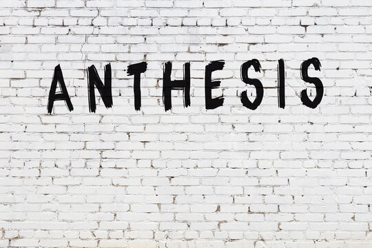 White wall with black paint inscription anthesis on it