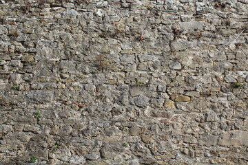 Unregelmäßige Natursteinmauer mit Pflanzen