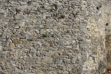 Unregelmäßige Natursteinmauer mit Pflanzen