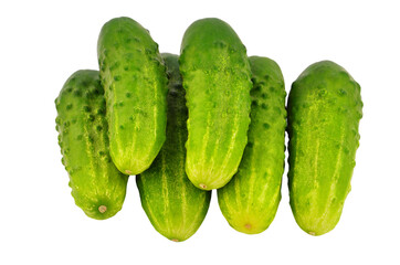 Green cucumber gherkin