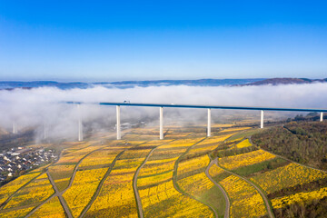 Aerial view, Hochmosel bridge over Moselle river, vineyards in autumn, Zeltingen-Rachtig, Rhineland-Palatinate, Germany