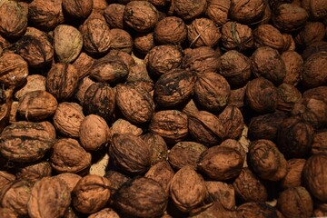 Collection of fresh walnuts in shell