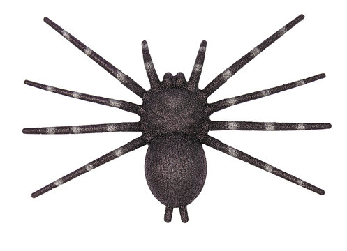 Top view of Halloween decoration with black fake glittering spider