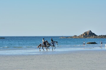 Fototapeta na wymiar riding on the beach in Brittany. France