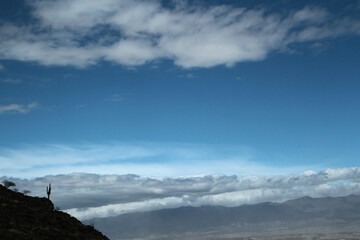 Inspiring landscape for inspirational quotes. Beautiful view   a dark giant cactus in the rocky mountain silhouette under a dramatic deep blue sky with clouds at sunset. 