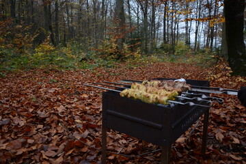 Late autumn forest and barbecue with barbecue