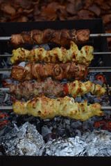 Shish kebabs of different types are grilled on coals in the forest