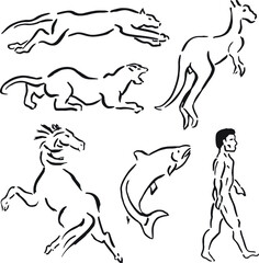 Drawing set of animals like leopard, puma, kangaroo, horse, salmon and a man walking, in ink brush style. Vector illustration.