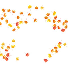Fototapeta na wymiar Maple leaves vector background, autumn foliage on white graphic design.