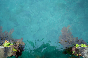 Fototapeta na wymiar Naturally teal sea water