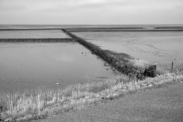 Blick vom Deich auf die Buschlahnungen im Watt vor der Küste der Nordsee in Bensersiel bei Esens...